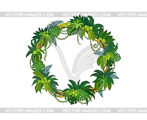 Tropical jungle frames, rain forest liana branches - vector clipart / vector image