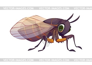 Cartoon cicada insect character with large eyes - vector image