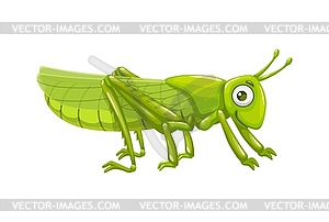 Cartoon locust insect, funny grasshopper character - vector clipart