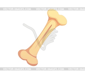 Cartoon Mexican font bone punctuation slash sign - vector image