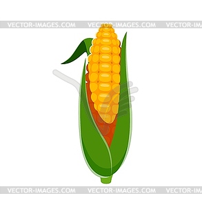 Farm font, cartoon corn vegetable typeface number - vector image