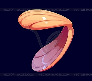 Sea seashell cartoon font typeset digit 7 seven - vector image