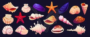 Мультяшные ракушки, мидии, морские звезды и моллюски - рисунок в векторном формате