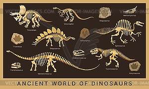 Dino museum poster with dinosaur fossils - vector clipart