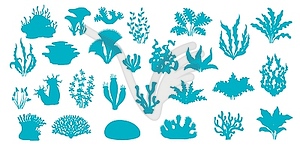 Морские водоросли, морской коралловый риф, ламинария, силуэты губок - векторный клипарт EPS