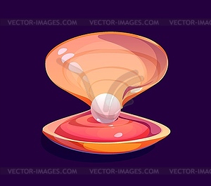 Cartoon pearl shell, underwater oyster and scallop - vector clip art