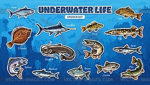 Sketch sea fish stickers, fishing sport or seafood - royalty-free vector clipart