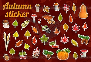 Thanksgiving and autumn leaves stickers pack - royalty-free vector clipart