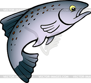 Мультяшный лосось или форель - векторное графическое изображение