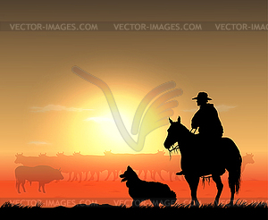 Cowboy with herd - vector image