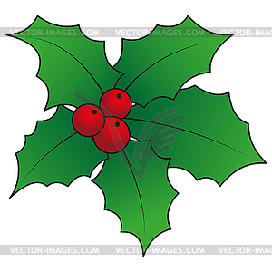 Holly leaves and berries and bow - vector clip art