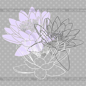 Floral background with water lily - vector clipart