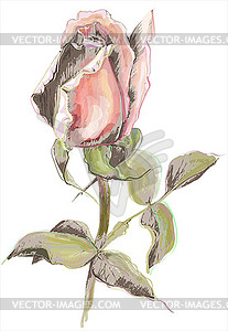 Greeting card with rose. roses. Beautiful decorati - vector clipart / vector image