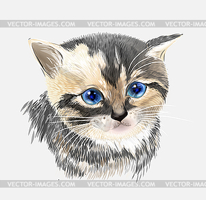 Портрет трехцветного котенка. Дом домашнее животное - клипарт Royalty-Free