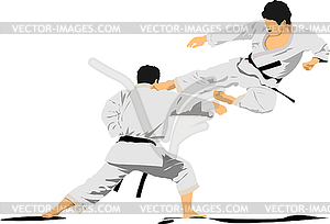 Oriental combat sports. Karate. Colored 3d vector - vector image