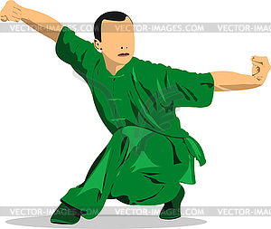 Oriental combat sports. Wushu. Colored 3d vector - vector clip art