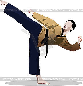 Oriental combat sports. KungFu. Colored 3d vector - vector EPS clipart