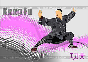 Oriental combat sports. Kung Fu. Colored 3d vector - vector image