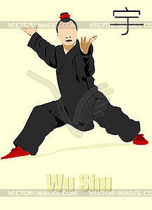 Oriental combat sports. Wu Shu. Colored 3d vector - vector clipart