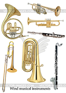 Wind musical instruments  - vector EPS clipart