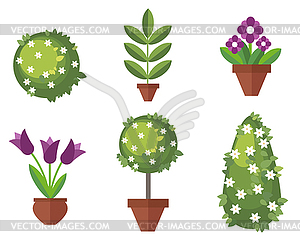 Set of garden plants - vector clipart