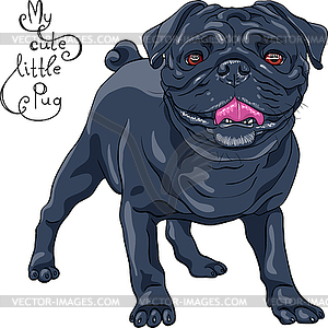 Эскиз милый пес черный мопс порода - изображение векторного клипарта