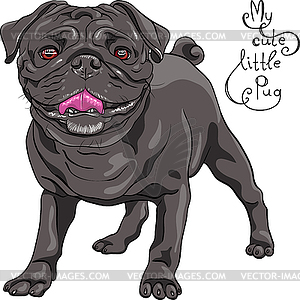 Эскиз милый пес черный мопс порода - изображение в векторе