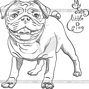 Sketch cute dog black pug breed - vector clip art