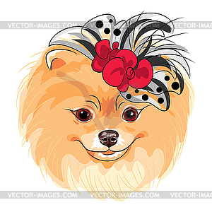 Fashion dog Pomeranian breed smiling - vector image