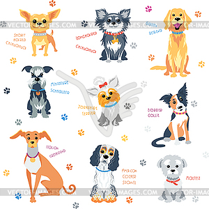 Set colour dogs - vector image