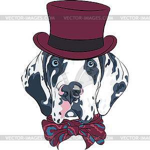 Spotted dog Great Dane breed - vector EPS clipart