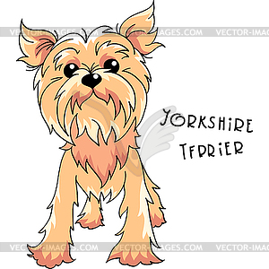 Собака йоркширского терьера - иллюстрация в векторе