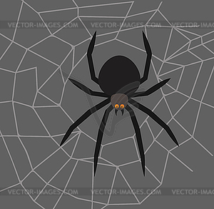 Spider in center of web - vector clipart / vector image