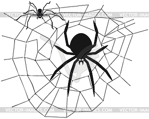 Spider in center of web - black and white illustr - vector image