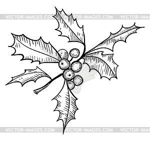 Leaves and berries - design element in pencil - vector clipart
