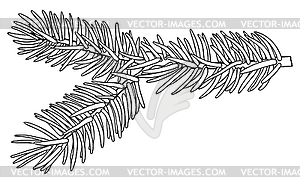 Fir branch - design element in pencil drawing style - vector image