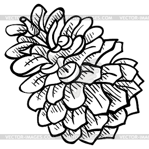 Pine cone - design element in pencil drawing style - royalty-free vector image