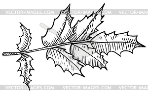 Leaves, twigs - design element in pencil drawing - vector clip art