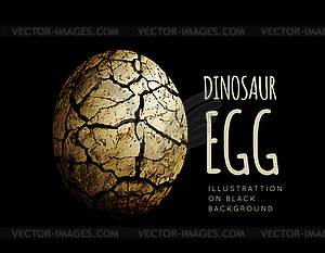 Egg of dinosaur on black background. Realistic - vector clipart