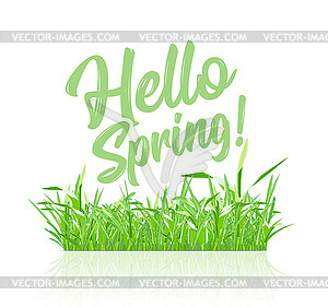 Текстовое сообщение hello spring, на фоне весны - векторизованное изображение клипарта