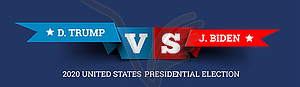 Presidential elections in United States. Donald - vector clipart / vector image