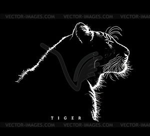 Tiger silhouette - vector clipart