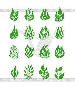 Green leaves icon set - vector image