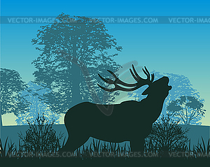 Deer in wood - royalty-free vector image