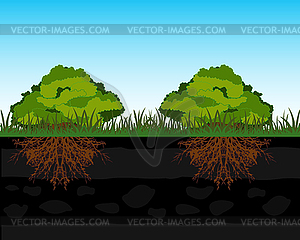 Bushes and root in ground - vector clipart