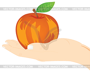 Red apple on palm - vector clipart