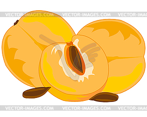 Fruits ripe discharges - vector image