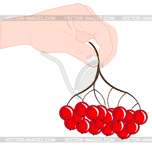 Берри в руке - векторное изображение клипарта