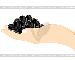 Berry on palm - vector clip art