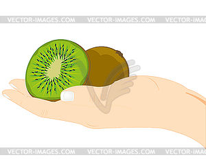 Fruits kiwi in hand - vector clipart